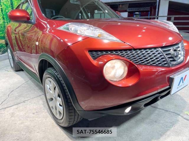 Nissan JUKE 2012-01 320493-13