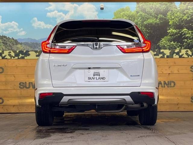 Honda CR-V 2019-02 16460-16