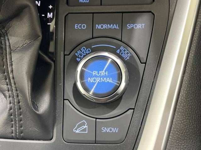 Toyota RAV4 2020-09 11663-3