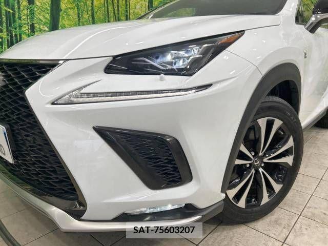 Lexus NX 2020-04 239540-12