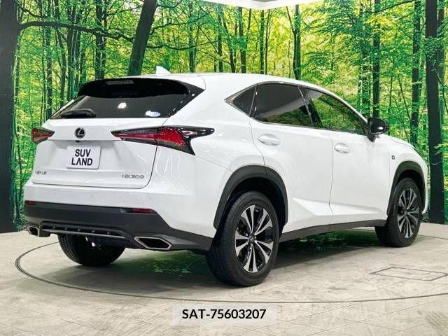 Lexus NX 2020-04 239540-17