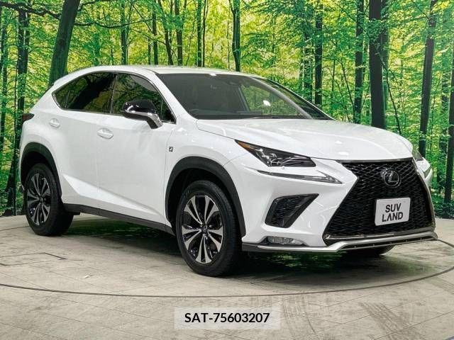 Lexus NX 2020-04 239540-16