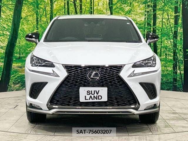 Lexus NX 2020-04 239540-14