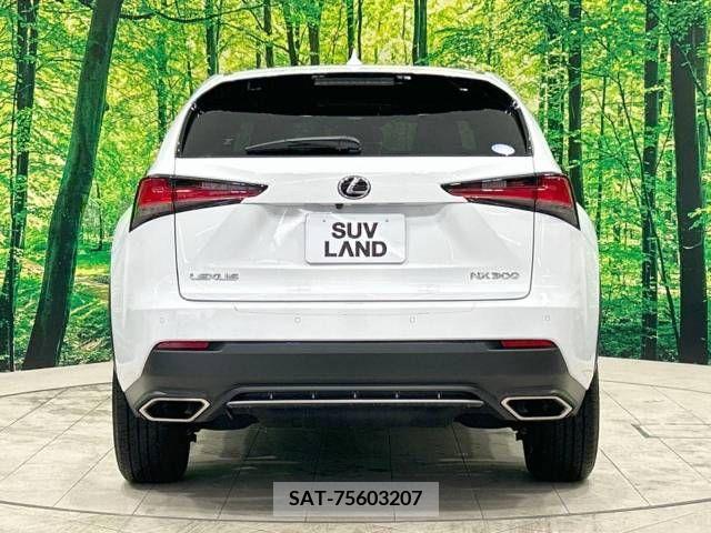 Lexus NX 2020-04 239540-15