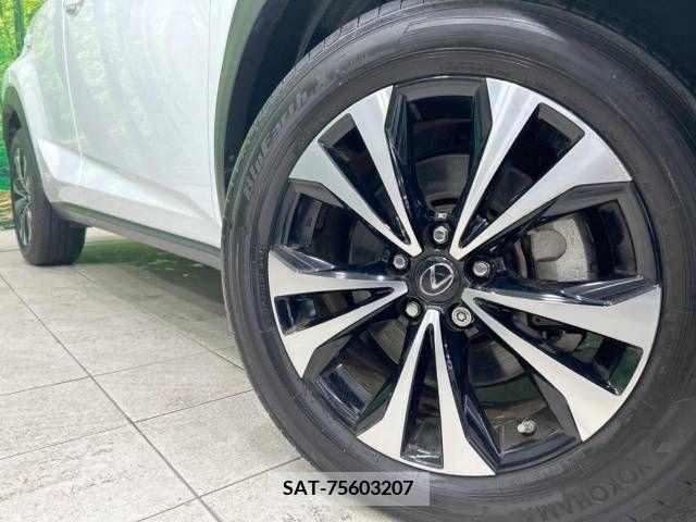 Lexus NX 2020-04 239540-13