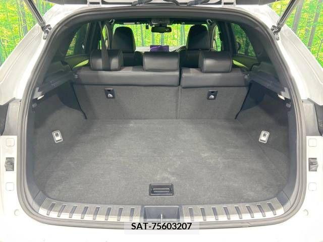 Lexus NX 2020-04 239540-10