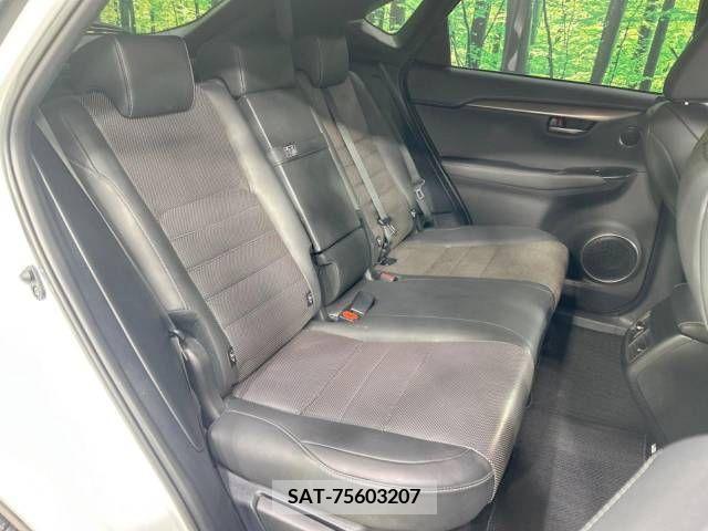Lexus NX 2020-04 239540-9