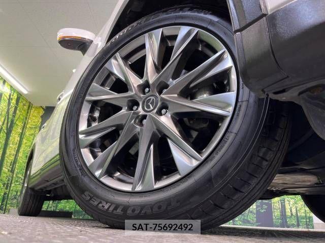 Mazda CX-8 2019-06 308554-17
