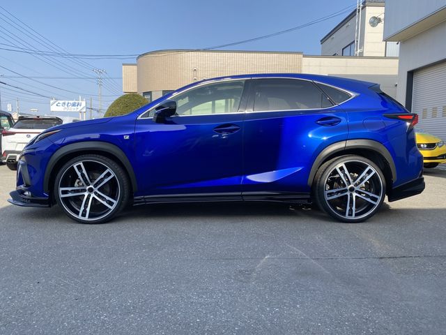 Lexus NX 2018-03 799-6