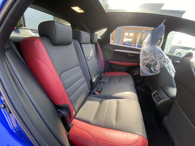 Lexus NX 2018-03 799-22