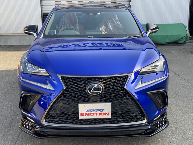 Lexus NX 2018-03 799-3