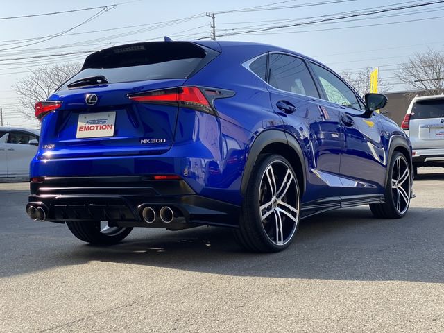 Lexus NX 2018-03 799-10