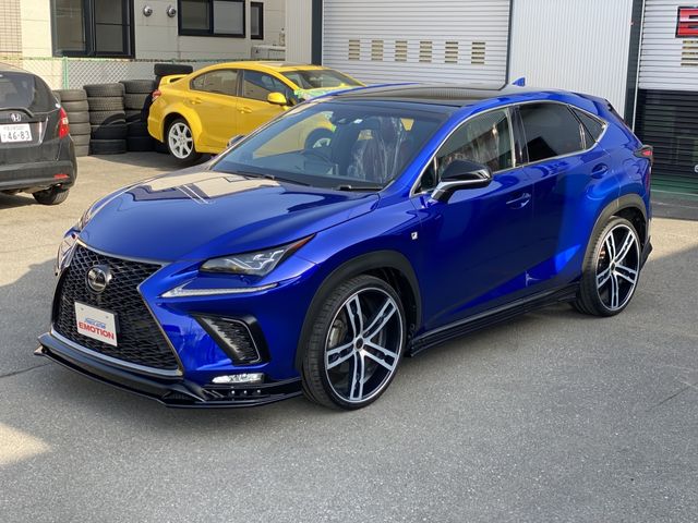 Lexus NX 2018-03 799-5