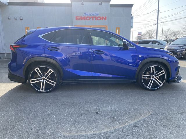 Lexus NX 2018-03 799-12