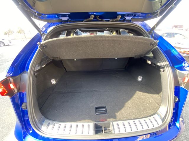 Lexus NX 2018-03 799-21