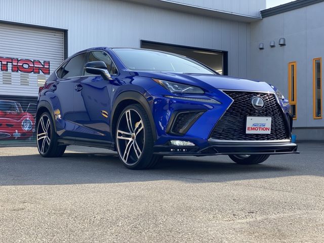 Lexus NX 2018-03 799-2