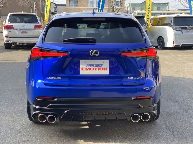 Lexus NX 2018-03 799-9