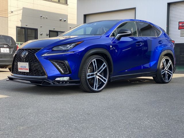 Lexus NX 2018-03 799-4