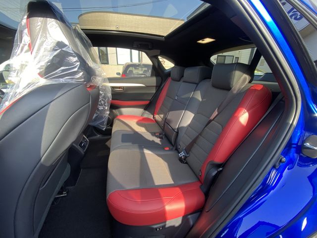 Lexus NX 2018-03 799-20