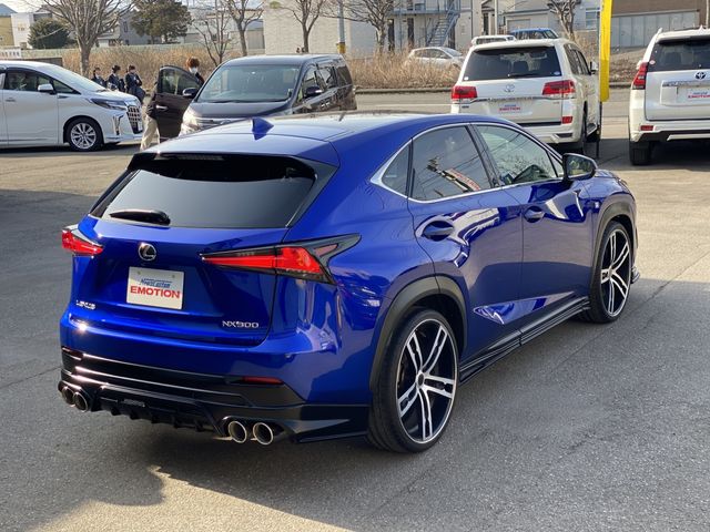 Lexus NX 2018-03 799-11
