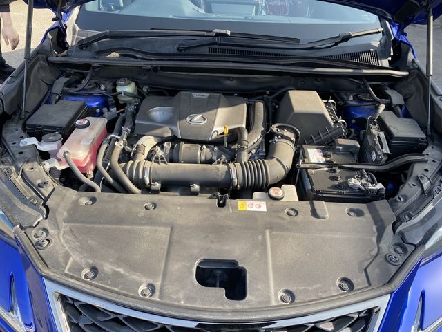 Lexus NX 2018-03 799-13