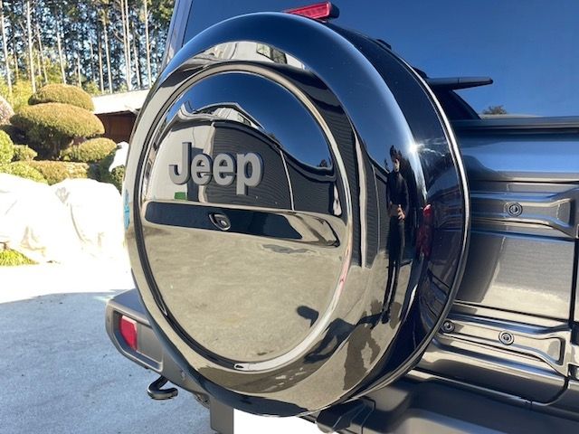 Jeep WRANGLER 2021-09 1025-6