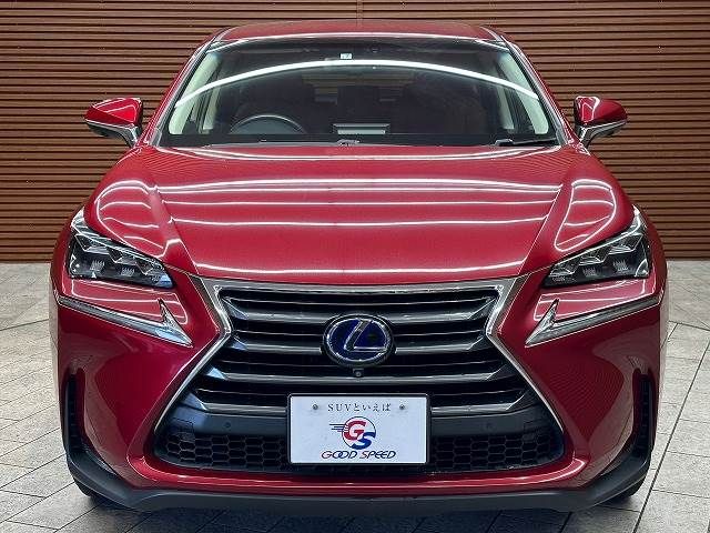 Lexus NX 2015-07 9668-16