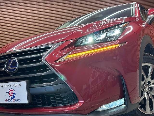 Lexus NX 2015-07 9668-9
