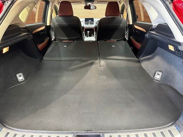 Lexus NX 2015-07 9668-19