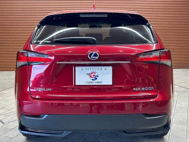 Lexus NX 2015-07 9668-18