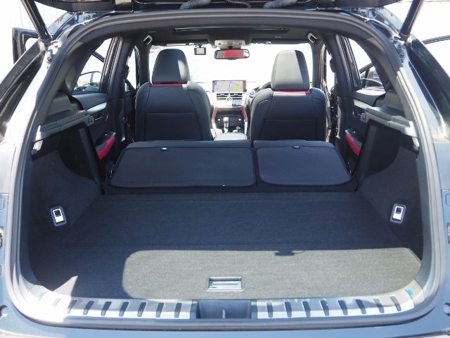 Lexus NX 2021-02 5972-15