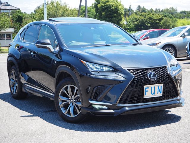 Lexus NX 2021-02 5972-2