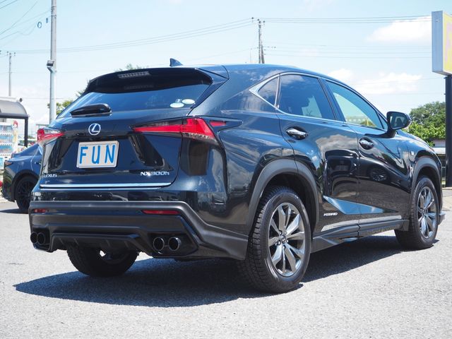 Lexus NX 2021-02 5972-4