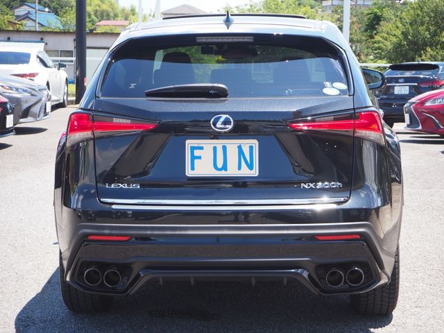 Lexus NX 2021-02 5972-6