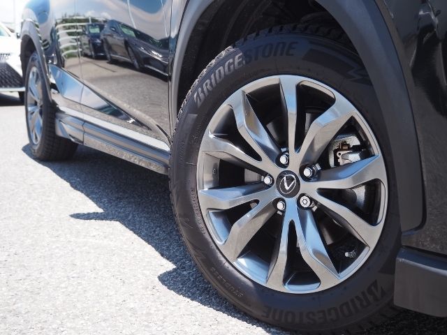 Lexus NX 2021-02 5972-7