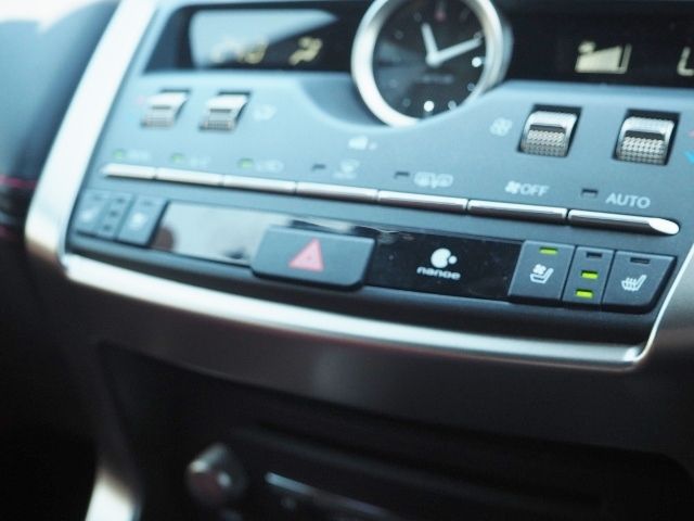 Lexus NX 2021-02 5972-26