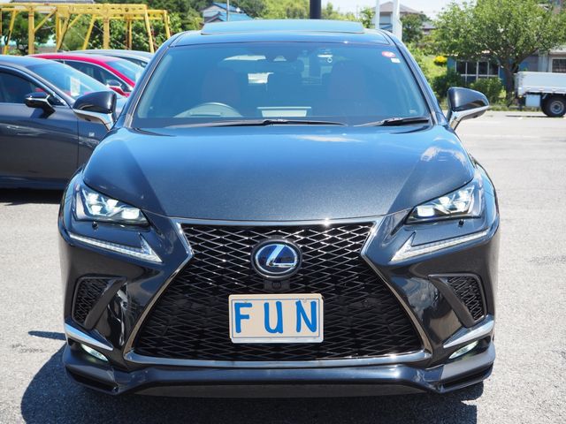 Lexus NX 2021-02 5972-1