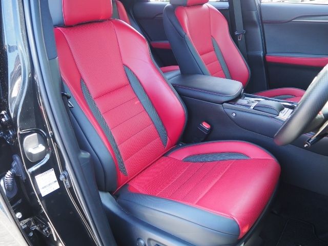Lexus NX 2021-02 5972-11