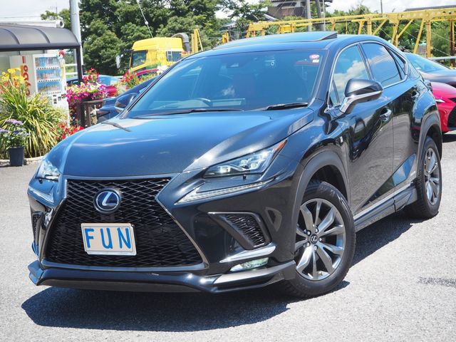 Lexus NX 2021-02 5972-3