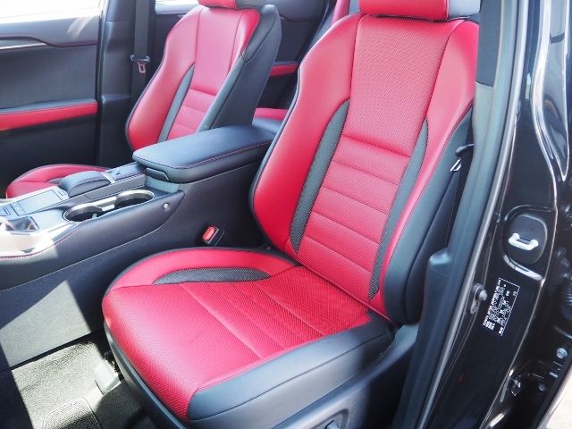 Lexus NX 2021-02 5972-12