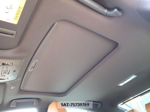 Lexus IS 2023-12 391850-21