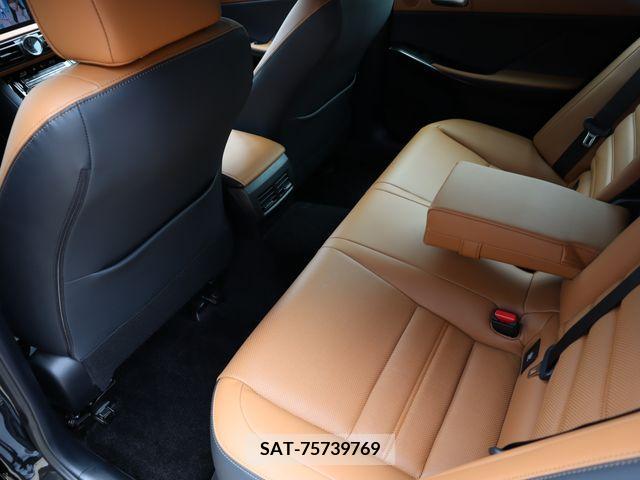 Lexus IS 2023-12 391850-11