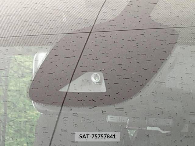 Nissan SERENA 2020-10 209818-3