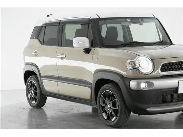 Suzuki X BEE 2019-02 11276-6