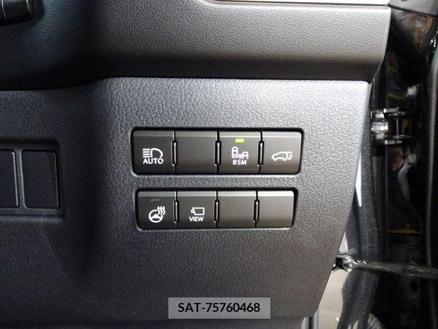 Lexus NX 2020-10 334391-19