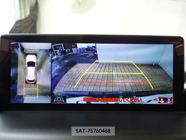 Lexus NX 2020-10 334391-9