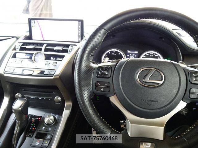 Lexus NX 2020-10 334391-10