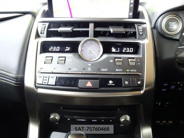 Lexus NX 2020-10 334391-12