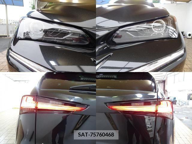 Lexus NX 2020-10 334391-3