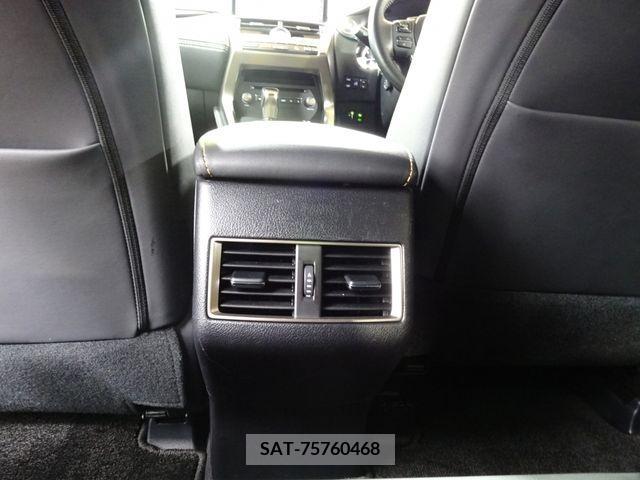 Lexus NX 2020-10 334391-25
